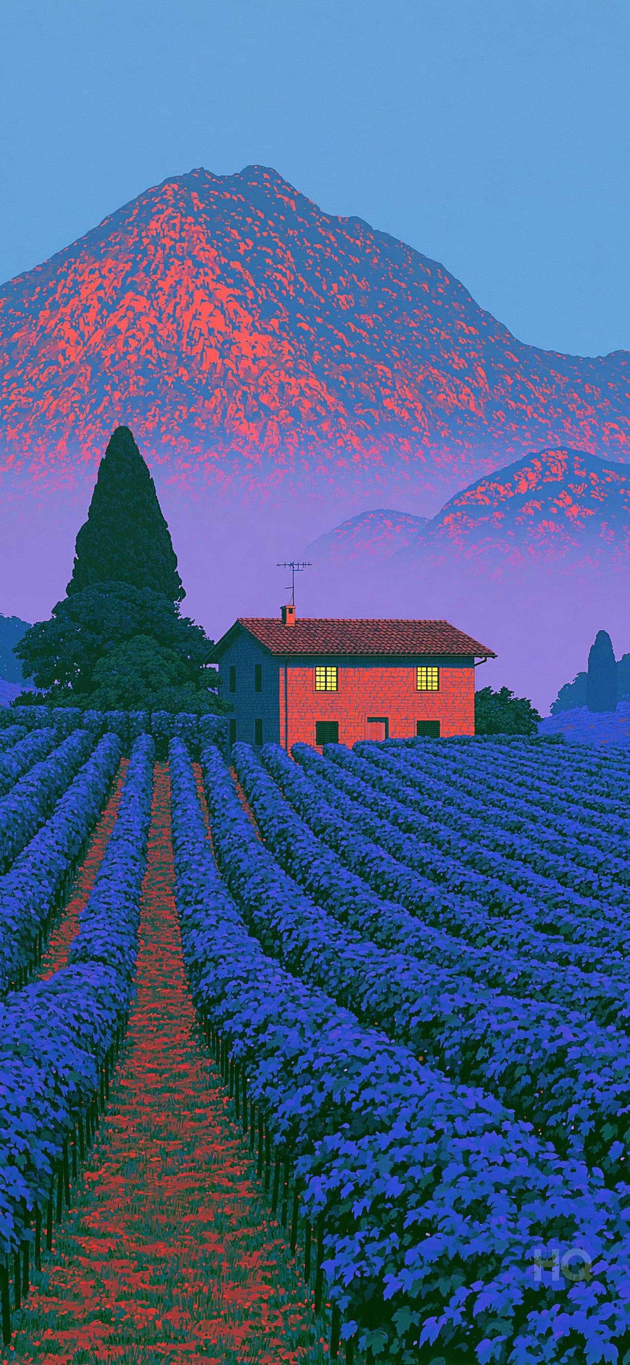 HQ phone wallpaper — Vineyard Fog